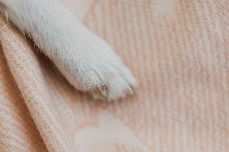 Make a Damp Cloth Your Doorway Helper