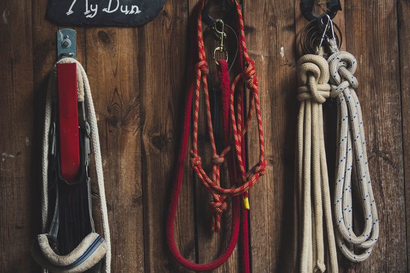 A Leash Hook for Muddy Outdoor Gear