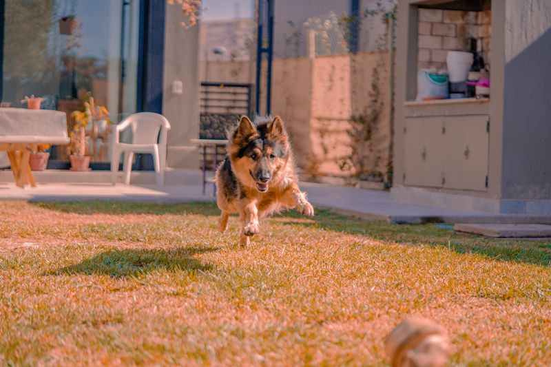 Strong Recall in Small Outdoor Spaces