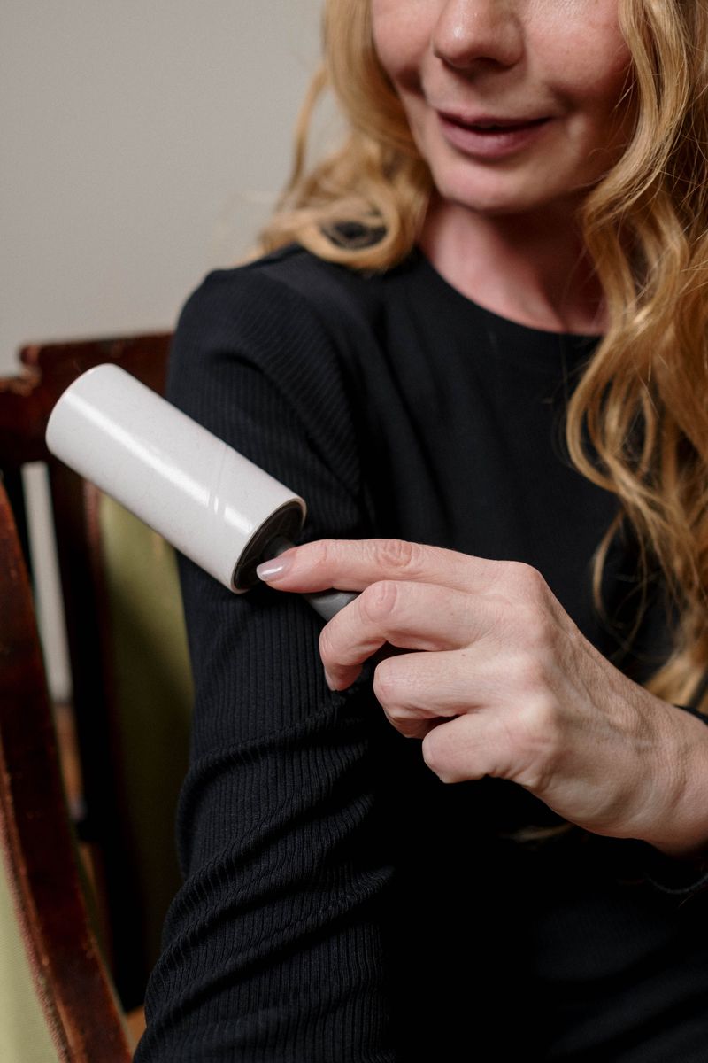 Create a Quick Brush-Off Zone With a Lint Roller