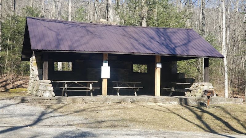 Hairy Johns Picnic Area, Bald Eagle State Forest