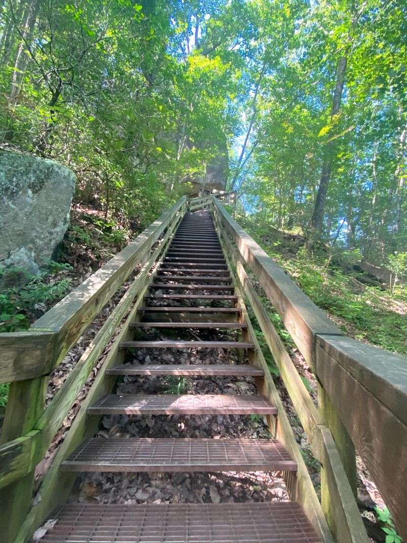 Cloudland Canyon Waterfalls Trail: Stairs With a View