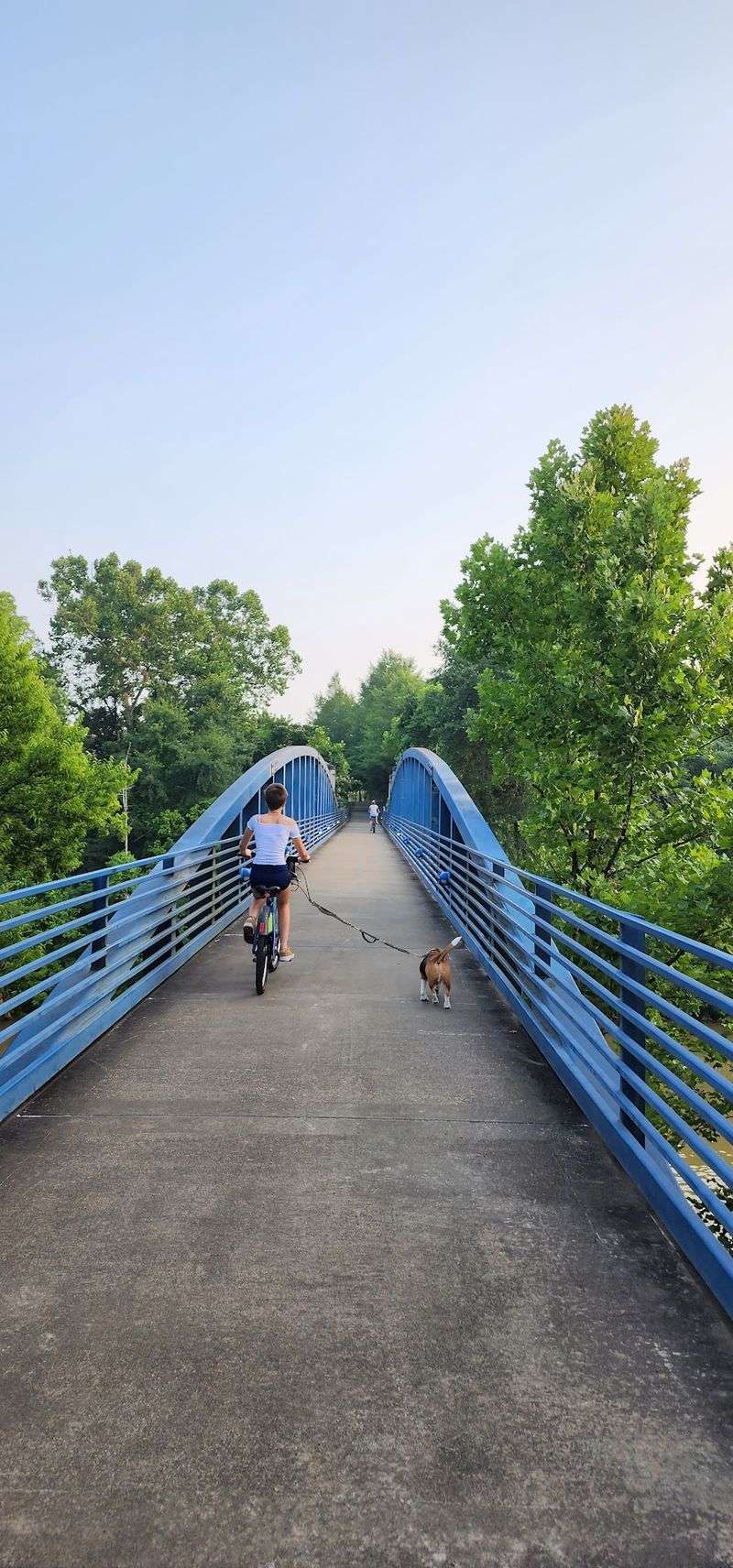Curtain Pole Road Trailhead, Chattanooga: A Straightforward Starting Point