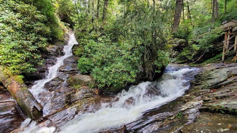 Dukes Creek Falls Trail: A Shady Downhill Start