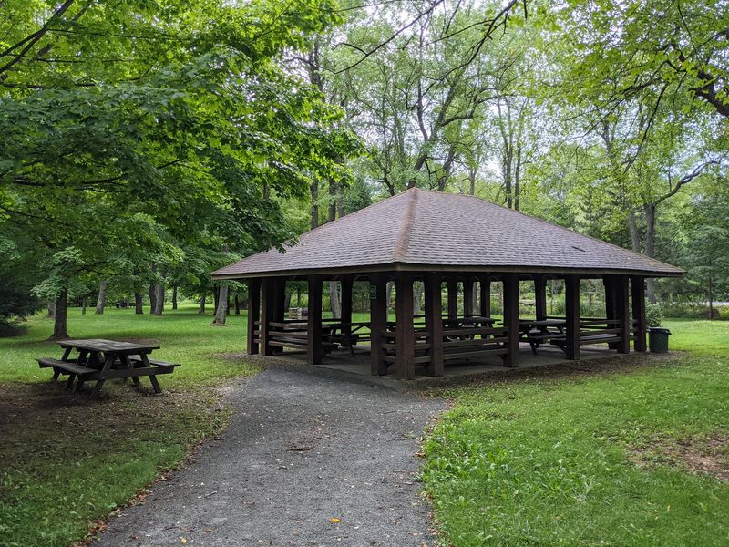 County Bridge Picnic Area, Tioga State Forest