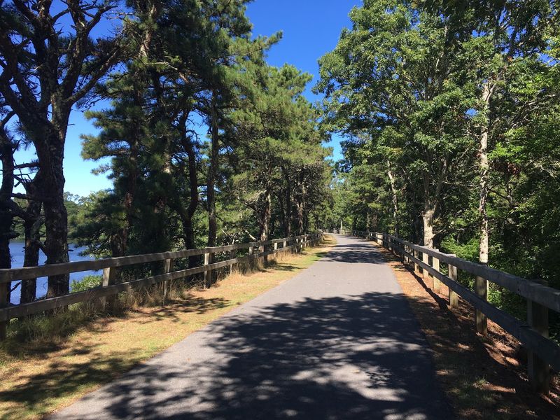 Cape Cod Rail Trail: A Cape Walk Beyond the Beach
