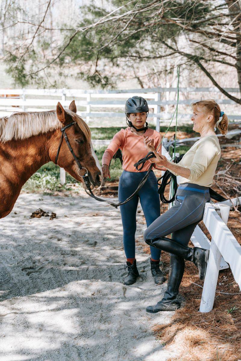 Ask Before Approaching Horses