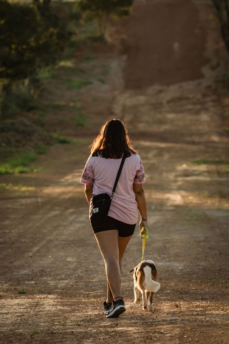Keep Retractable Leashes Short Near Rural Traffic