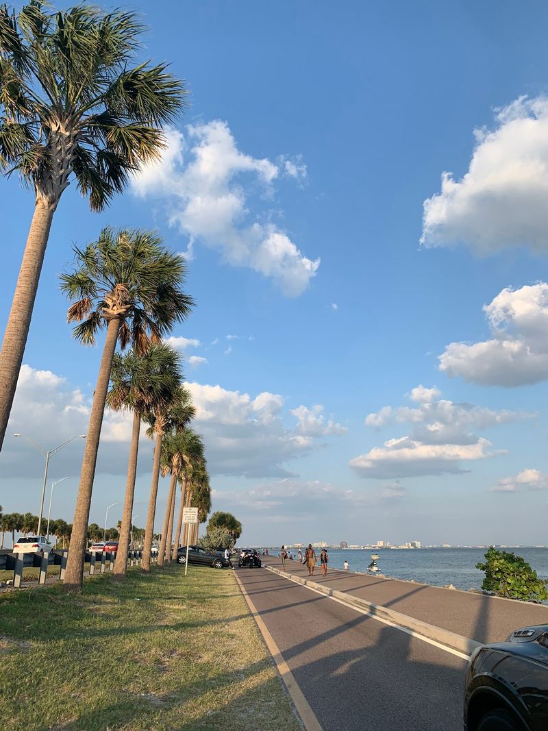 Courtney Campbell Causeway Trail: A Breezy Bayfront Sample