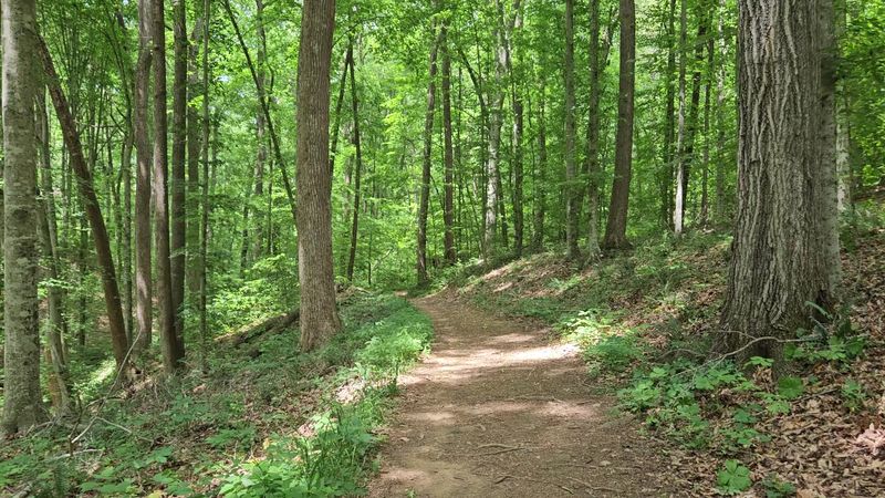 Powhatan State Park River Bend Campground, River Country in Powhatan County