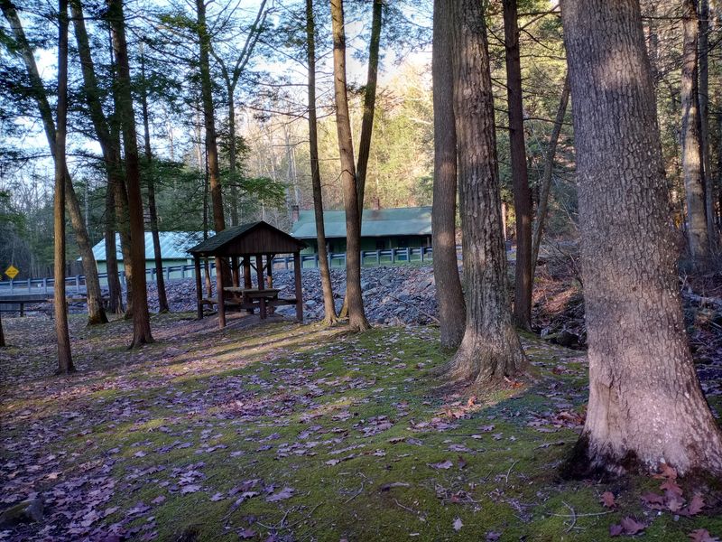 Bear Valley Picnic Area, Buchanan State Forest