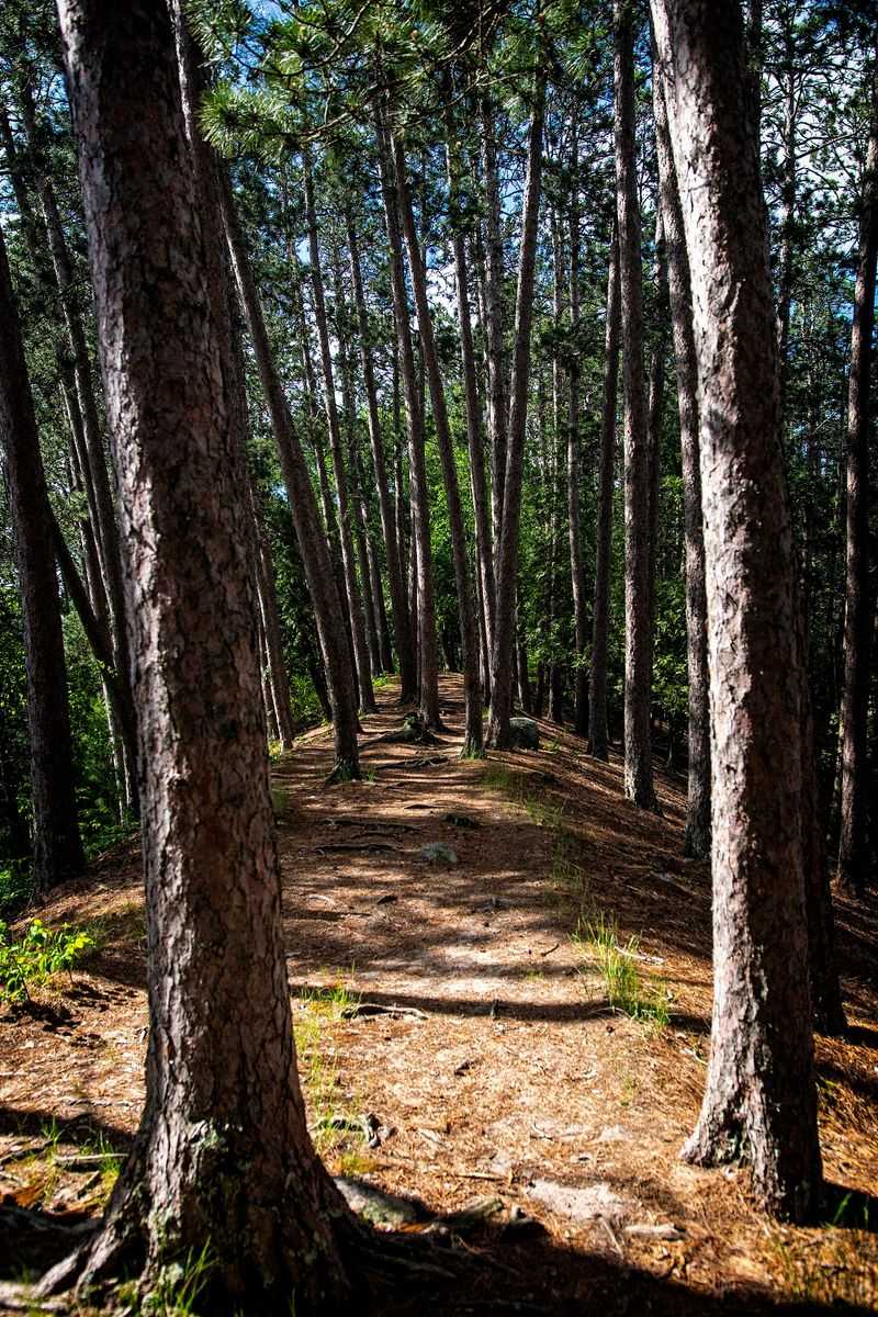 Scenic State Park: Chase Point Campground