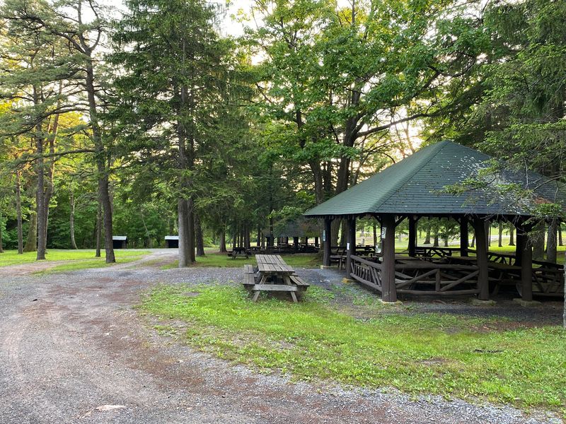 Sideling Hill Picnic Area, Buchanan State Forest