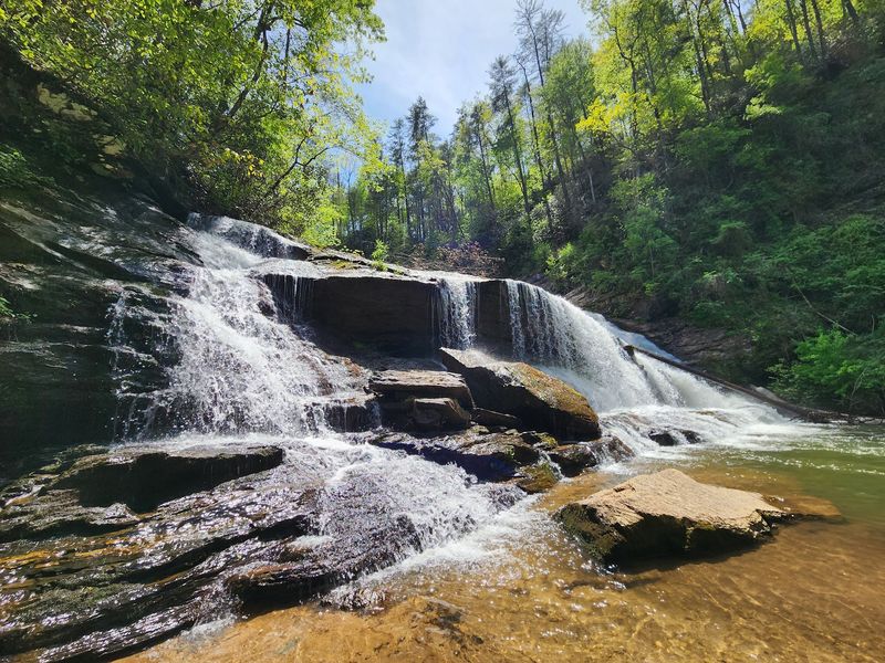 Panther Creek Falls Trail: A Longer Paw Workout