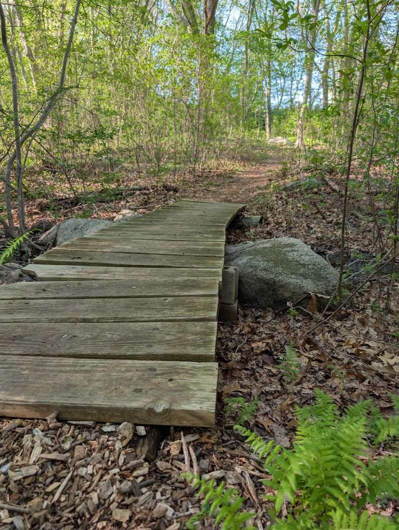 Wesleyan College, Arboretum Trails