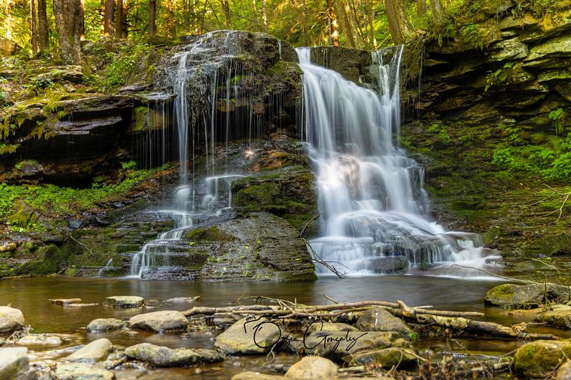 Dry Run Picnic Area, Loyalsock State Forest