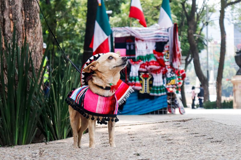 Know What Mexico Usually Skips