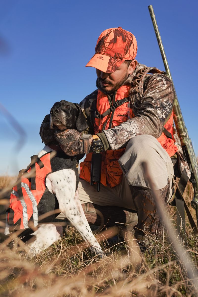 Check for Open Hunting, Chase, or Training Seasons