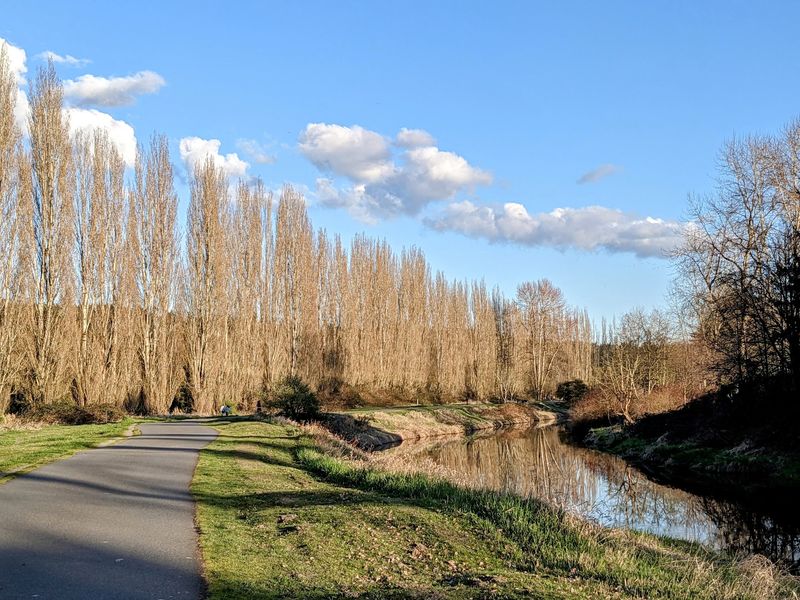 Sammamish River Trail: Gentle Miles Through Bothell and Redmond