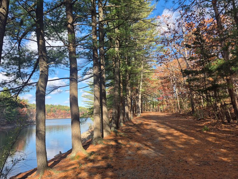 Middlesex Fells Reservation: Favor the Broad Woodland Roads