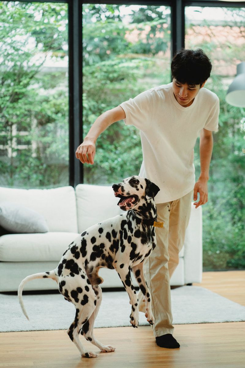 Agility