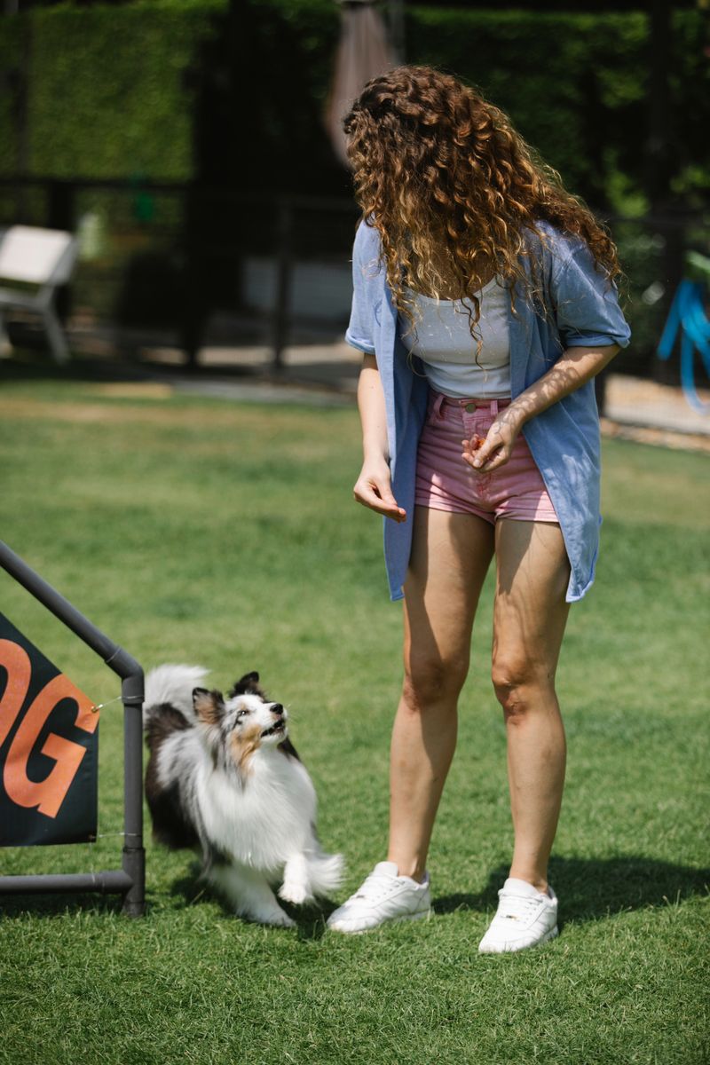 Rally-FrEe