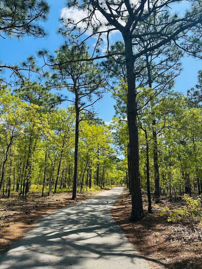 Gary Shell Cross-City Trail, Wilmington: Park-Hop on Foot