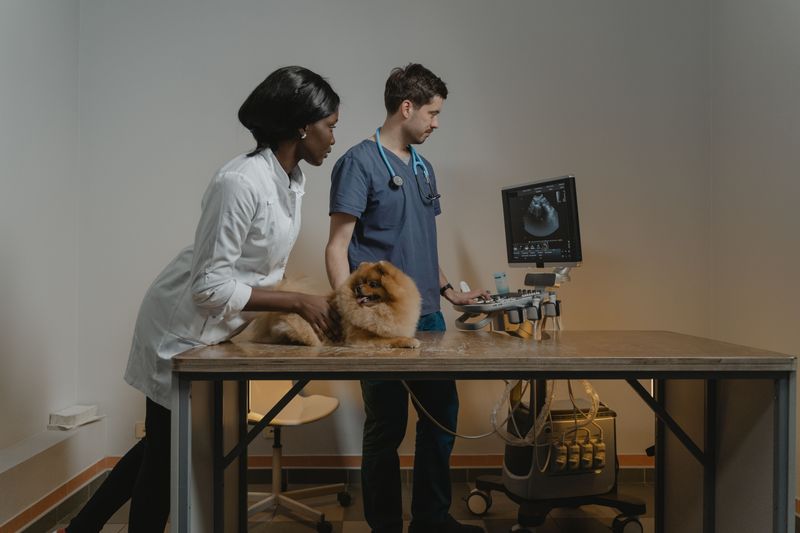 Find Out Which Imaging and Tests Are Available Nearby