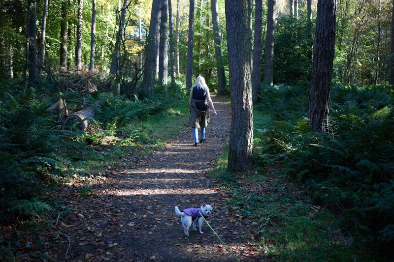 Choose Established Trails Away From Active Hunting Areas