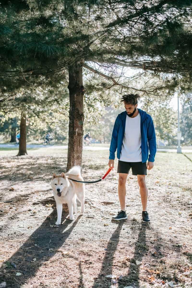Rebuild Your Dog’s Tolerance Gradually