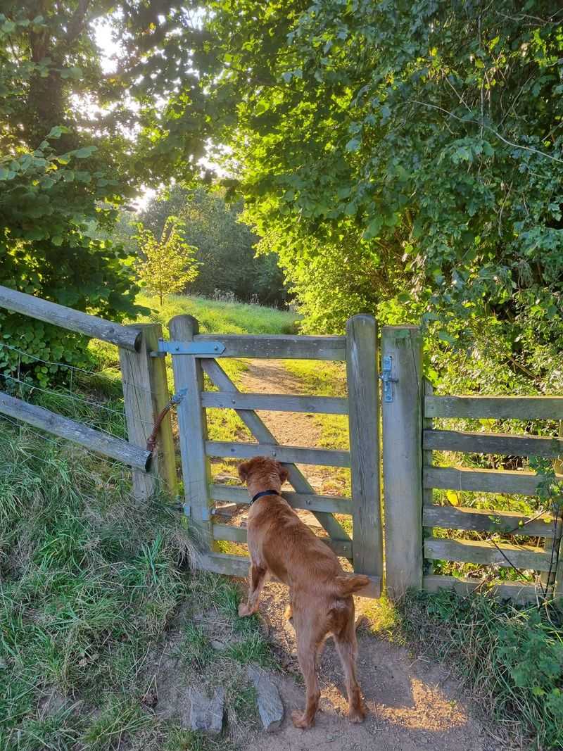 Get Permission Before Walking on Private Rural Land