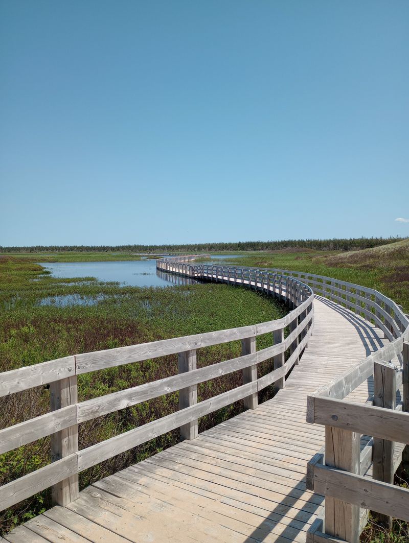 Leave Restricted Nature Trails to Wildlife