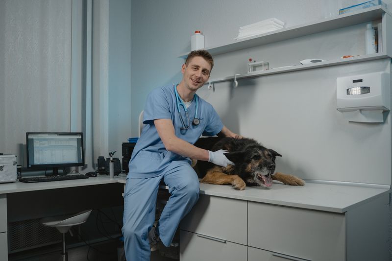 Keep Licensing Separate From Rabies Vaccination Records