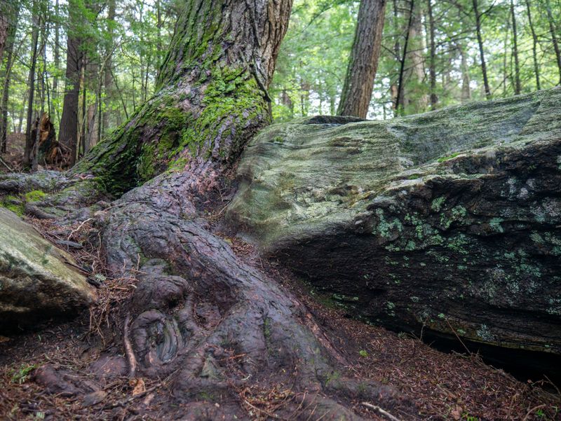 Inspect The Trail For Difficult Terrain