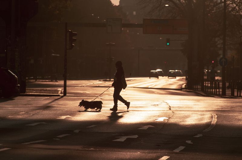 Choose Cooler Hours for Pavement Walks
