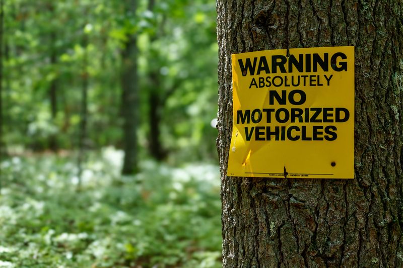 Look Up the Specific Forest’s Rules
