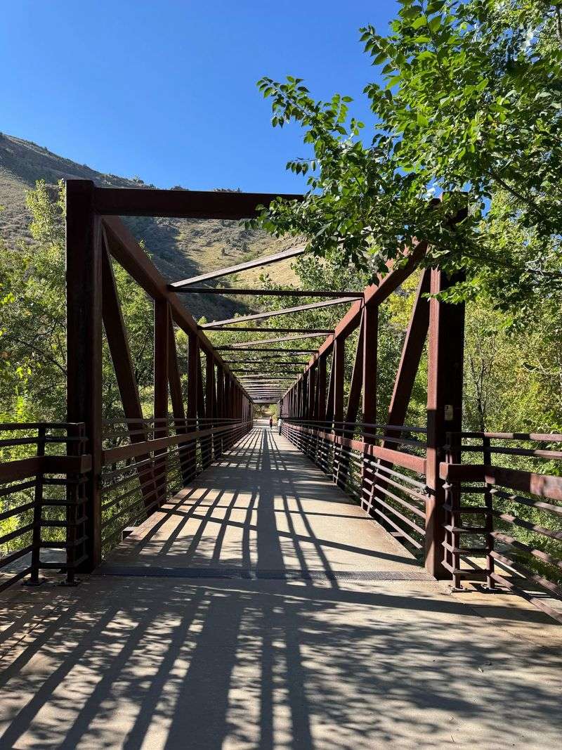 Clear Creek Trail: Golden Views With Easy Turnarounds