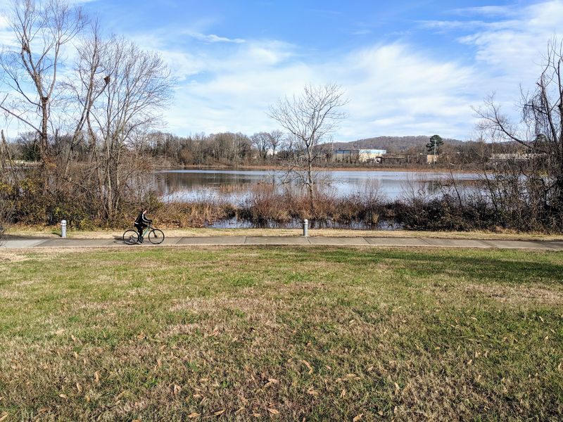 Amnicola Marsh Access, Chattanooga: Slow Down for Wetland Views