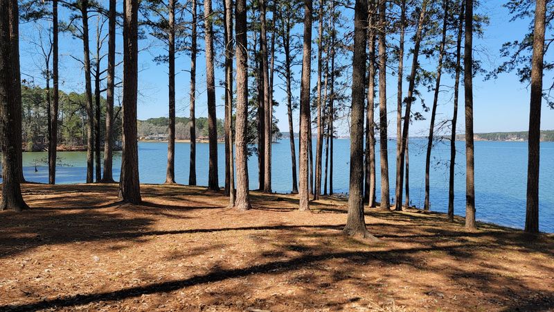 Jimmie Davis State Park