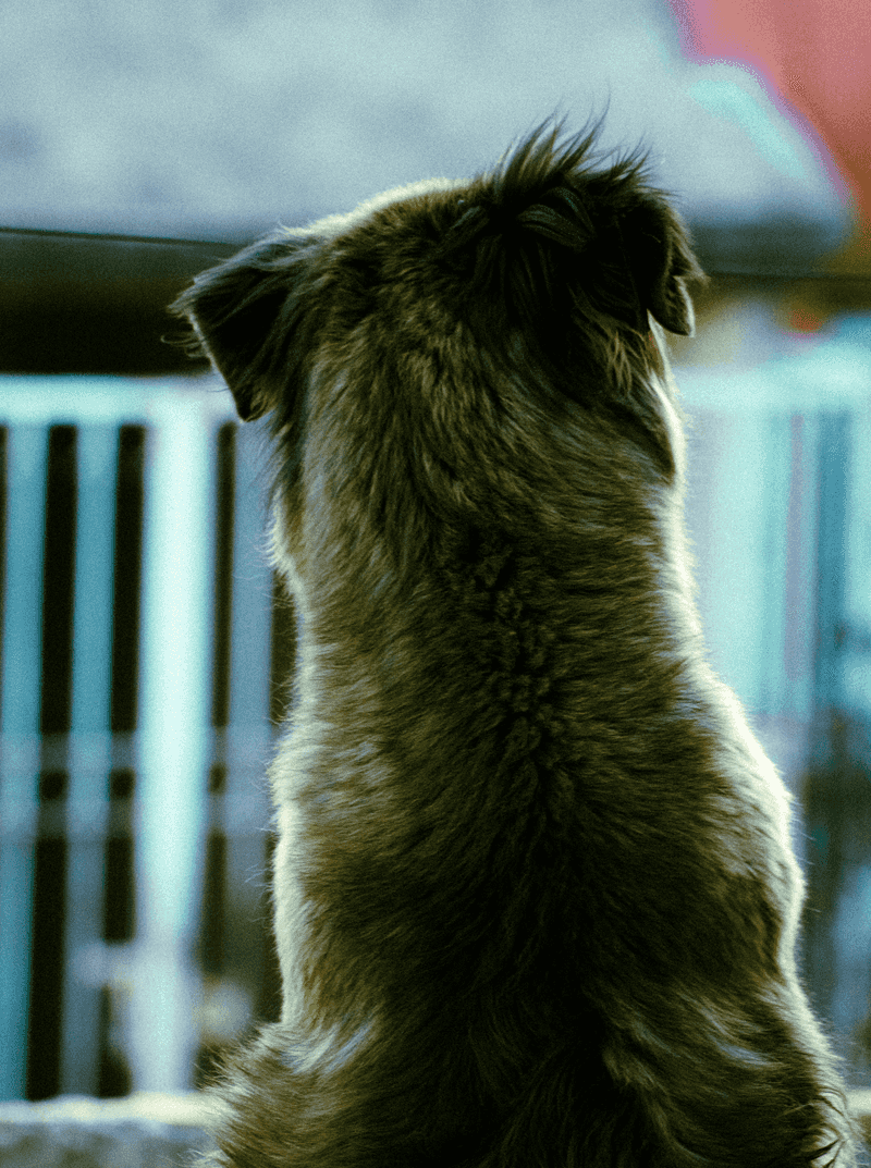 Temporary Separation Does Not Automatically Change Ownership