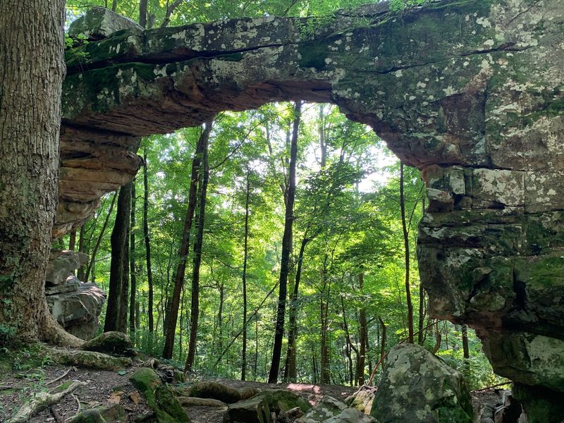 Natural Bridge State Natural Area: Small Walk, Remarkable Arch