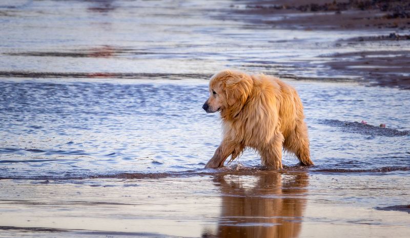 Wash Away Salt and Coastal Residue