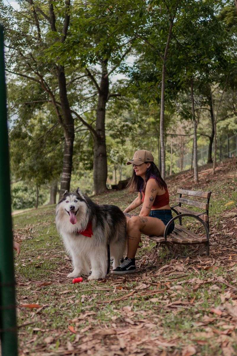 Use Dog-Friendly Parks for Gentle Reacclimation