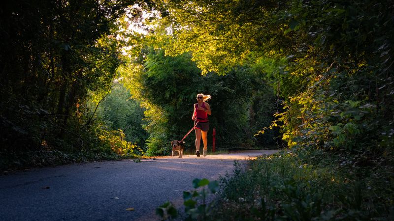 Planning Safe Summer Exercise