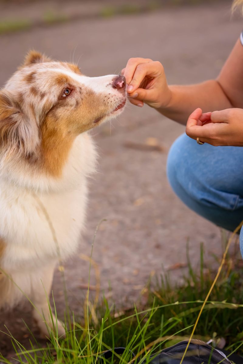 Reward Success Immediately and Add a Potty Cue