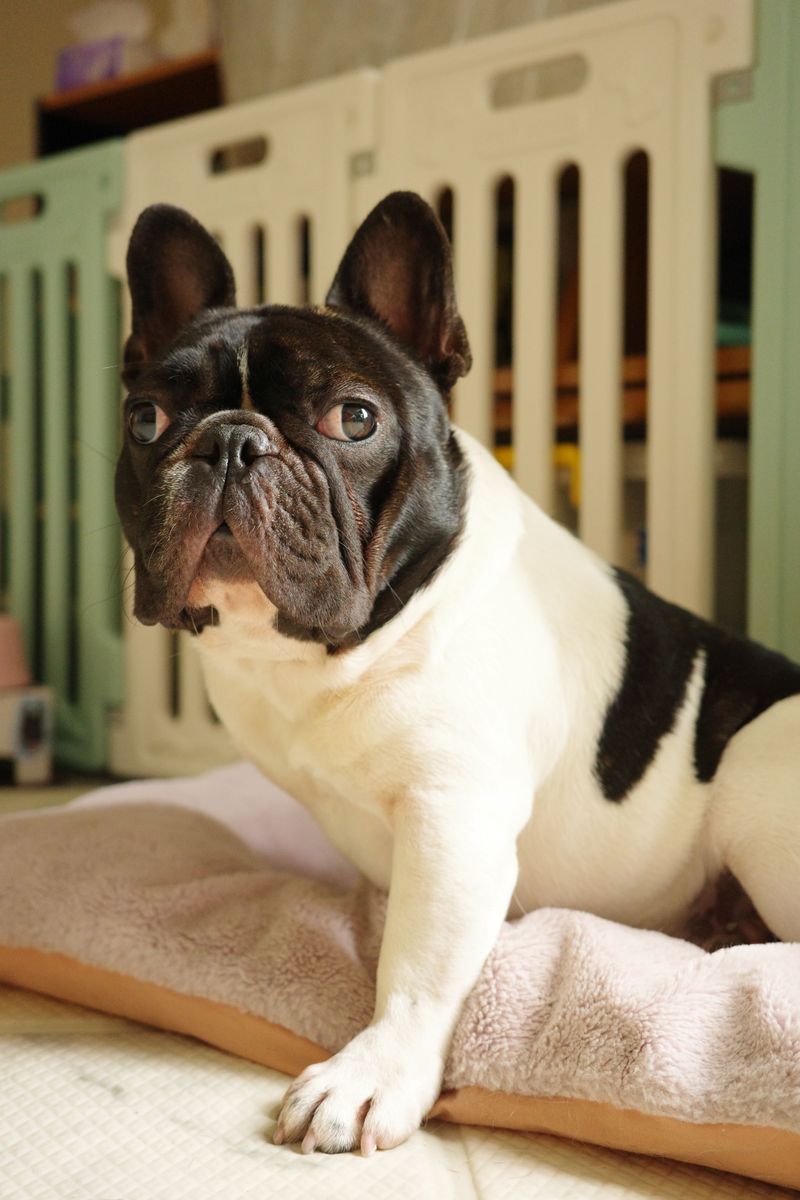 Choose a Supportive, Low-Entry Bed Away From Drafts