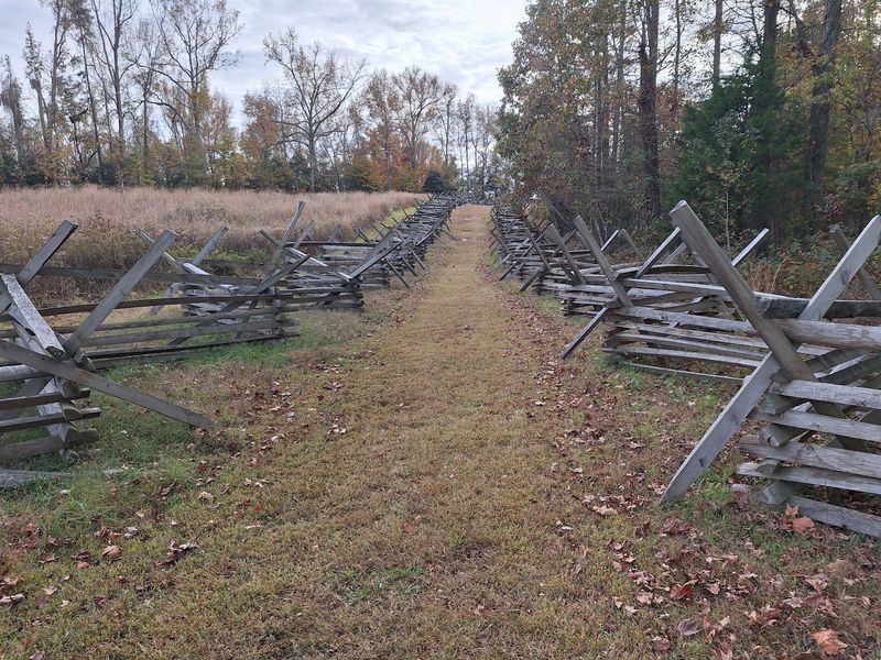 Gaines’ Mill Battlefield: Explore Beneath the Hardwoods