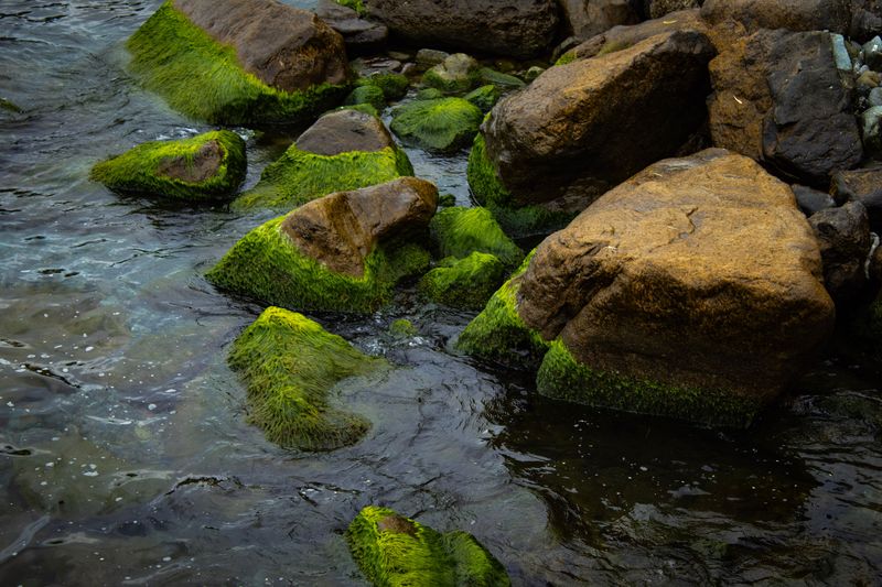 Slippery Rocks Make Riverbanks Riskier