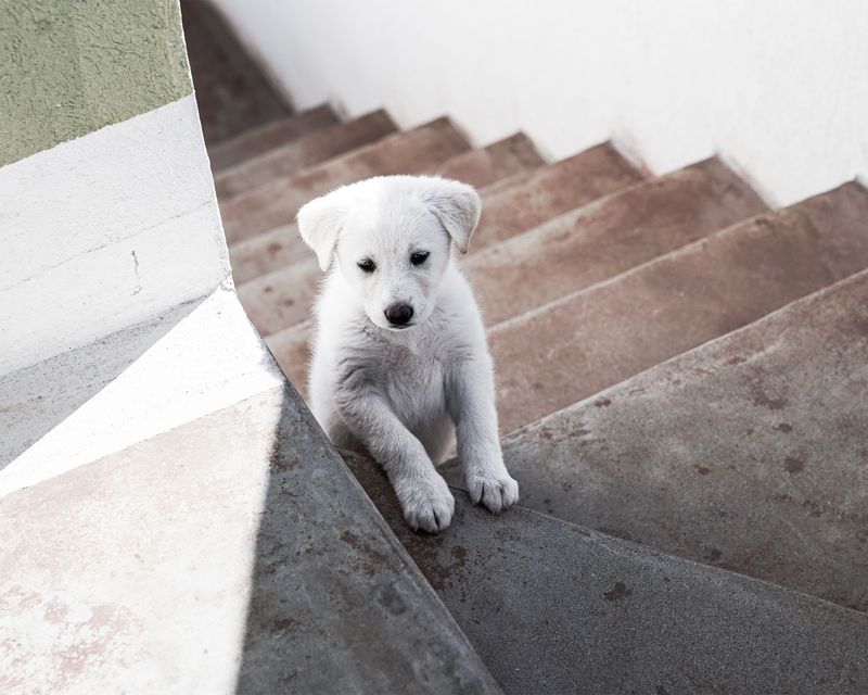 Comfortable Stair Use