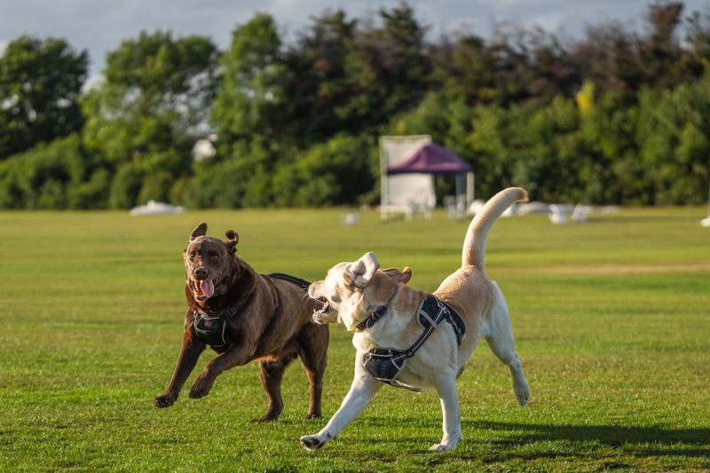 Is a Good Exercise Spot Nearby?